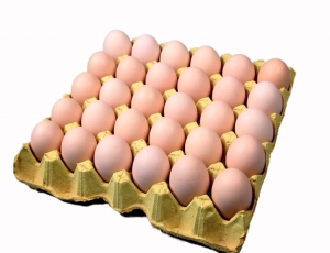 蛋類食品包裝機-雞蛋包裝機-熱收縮膜包裝機