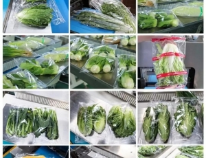 蔬菜水果枕式包裝機